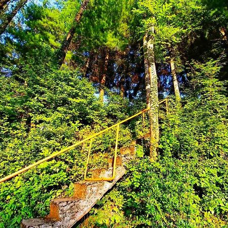 Kuca Za Odmor "Livadica" Villa Netretic Exteriör bild