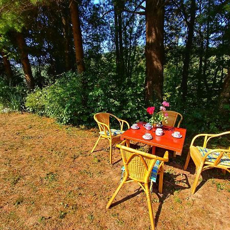 Kuca Za Odmor "Livadica" Villa Netretic Exteriör bild