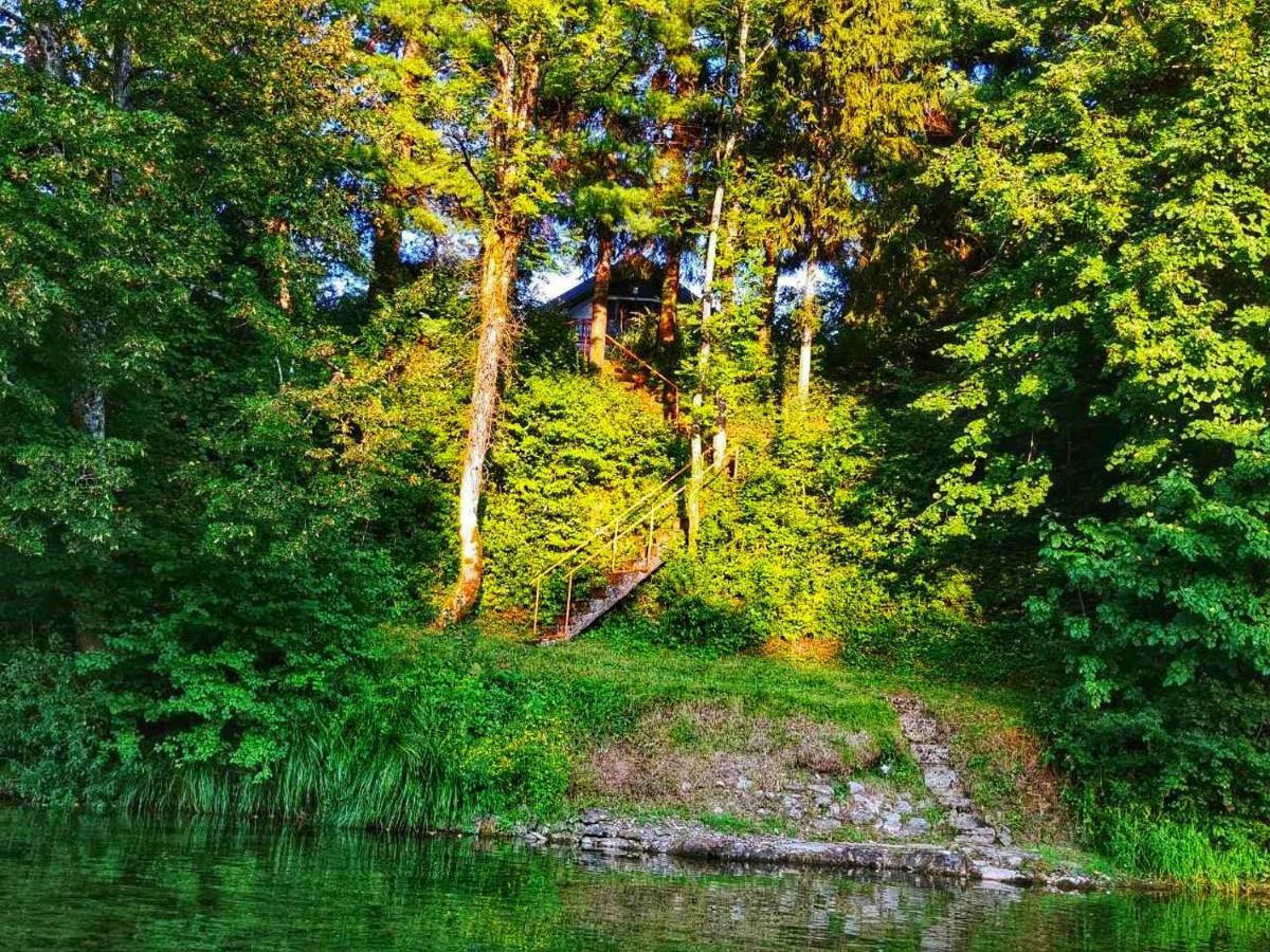 Kuca Za Odmor "Livadica" Villa Netretic Exteriör bild