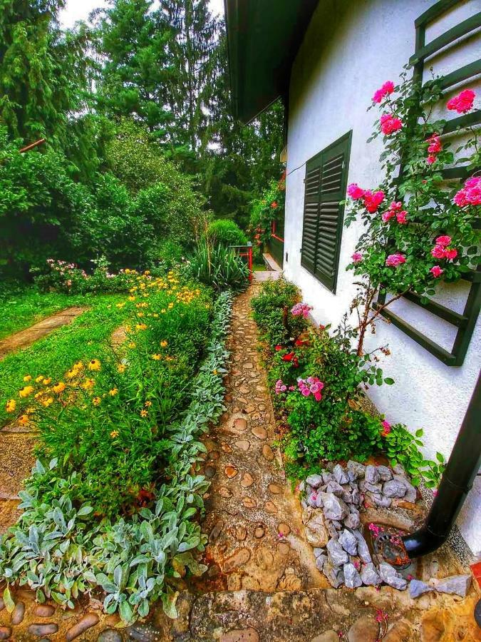 Kuca Za Odmor "Livadica" Villa Netretic Exteriör bild
