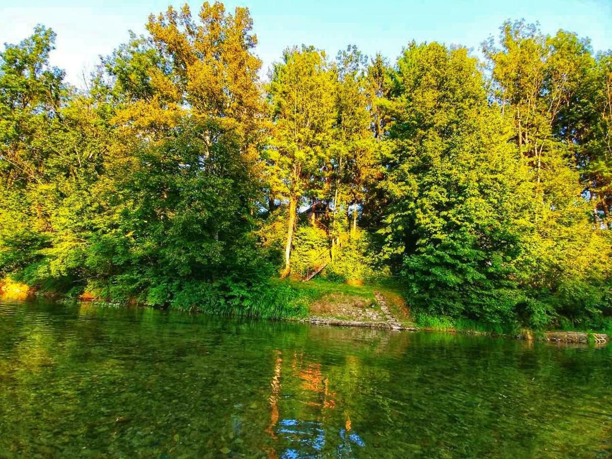Kuca Za Odmor "Livadica" Villa Netretic Exteriör bild