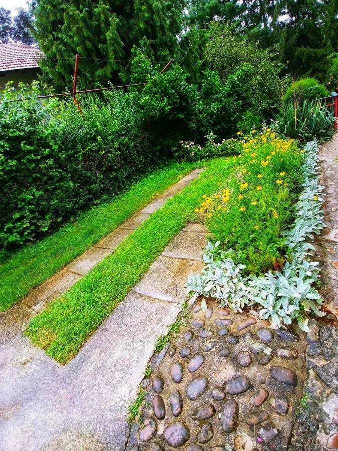 Kuca Za Odmor "Livadica" Villa Netretic Exteriör bild
