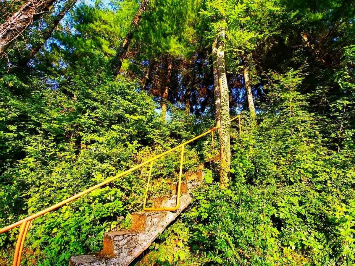Kuca Za Odmor "Livadica" Villa Netretic Exteriör bild